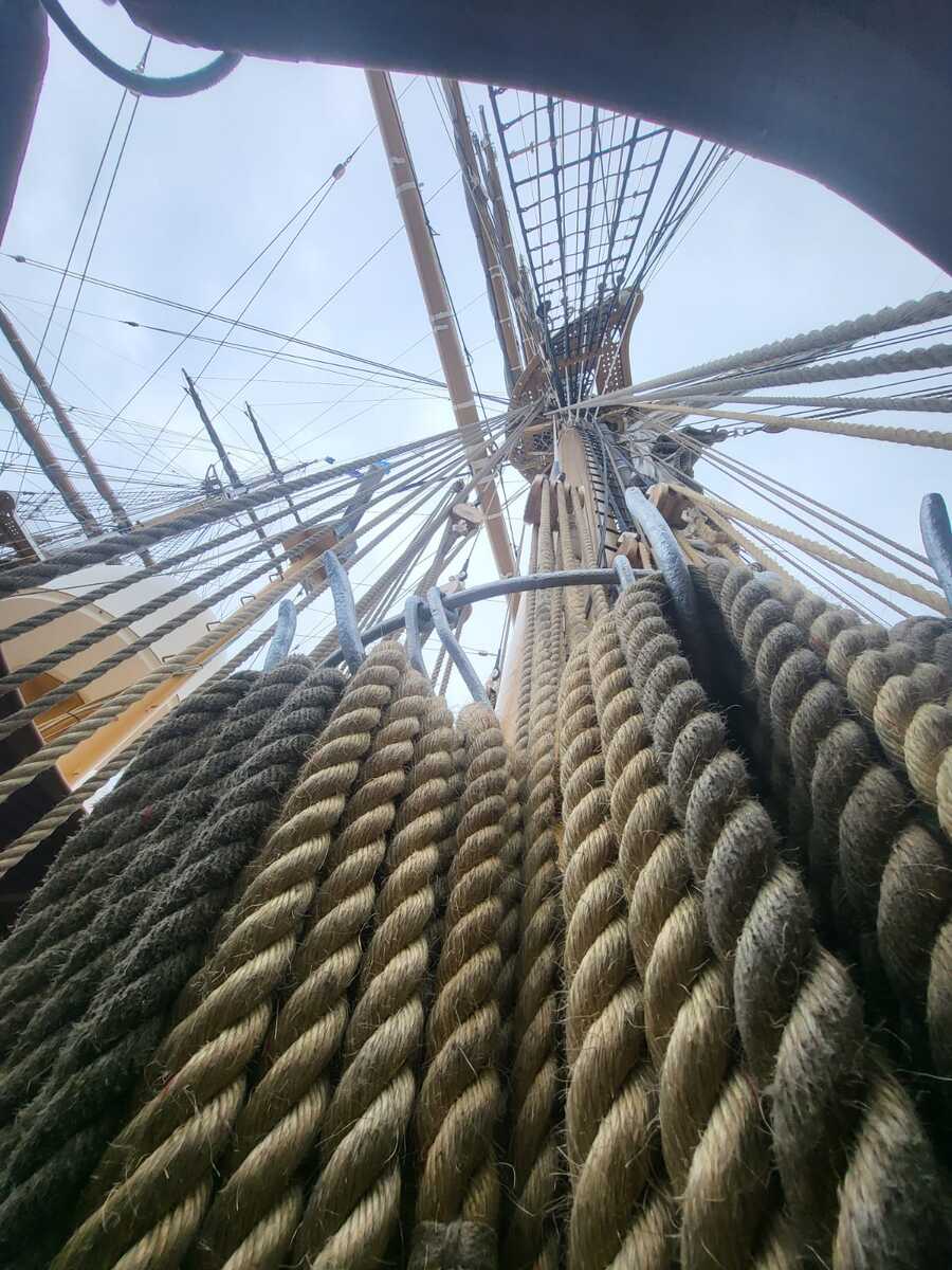Vespucci 5